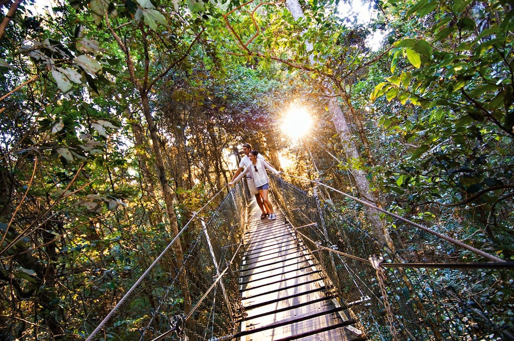 Sports facility, O'Reilly's Rainforest Retreat