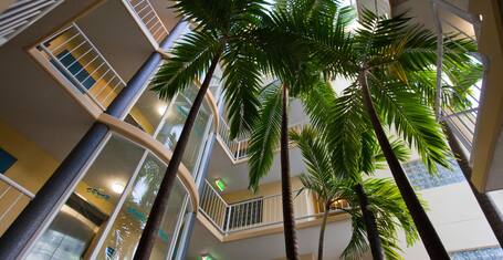 パシフィック ホテル ケアンズ 口コミ 宿泊料金 写真 22 エクスペディア パシフィック ホテル ケアンズ 口コミ 宿泊料金 写真 22 エクスペディア