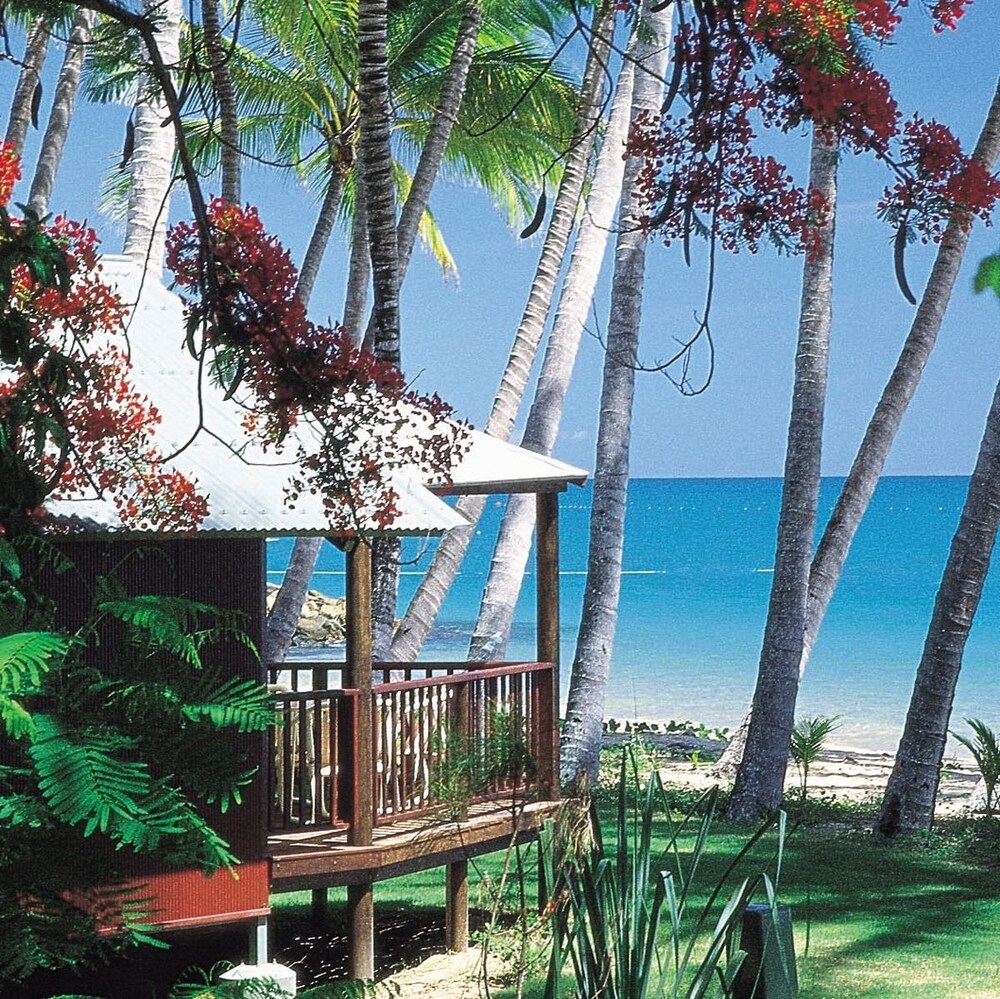 Ellis Beach Oceanfront Bungalows Campground Deals Reviews Curly Selected Item