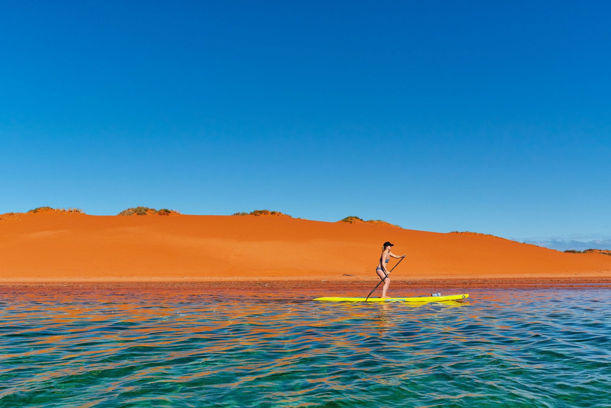 RAC Monkey Mia Dolphin Resort