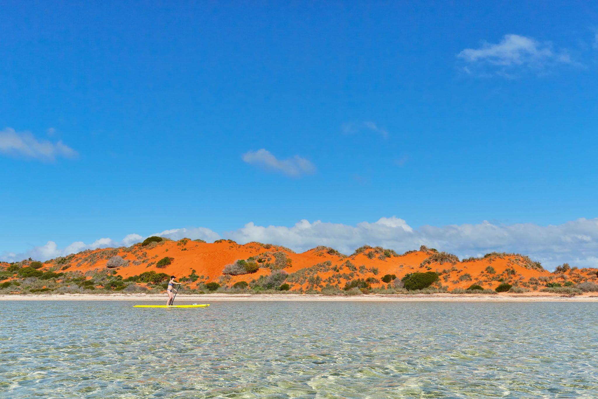 RAC Monkey Mia Dolphin Resort