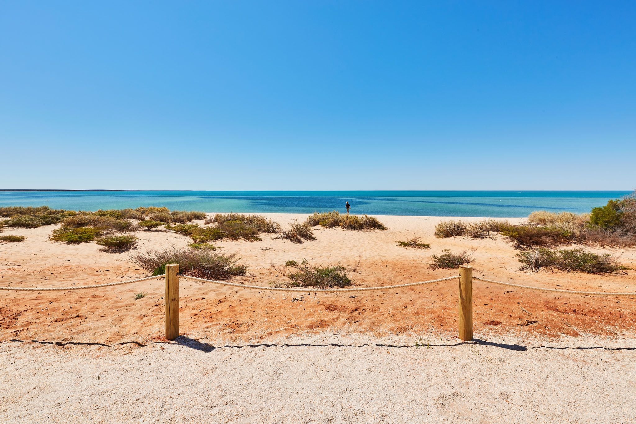 RAC Monkey Mia Dolphin Resort