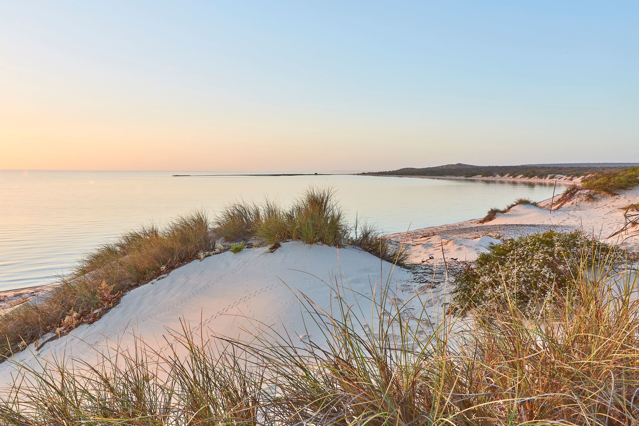 RAC Monkey Mia Dolphin Resort