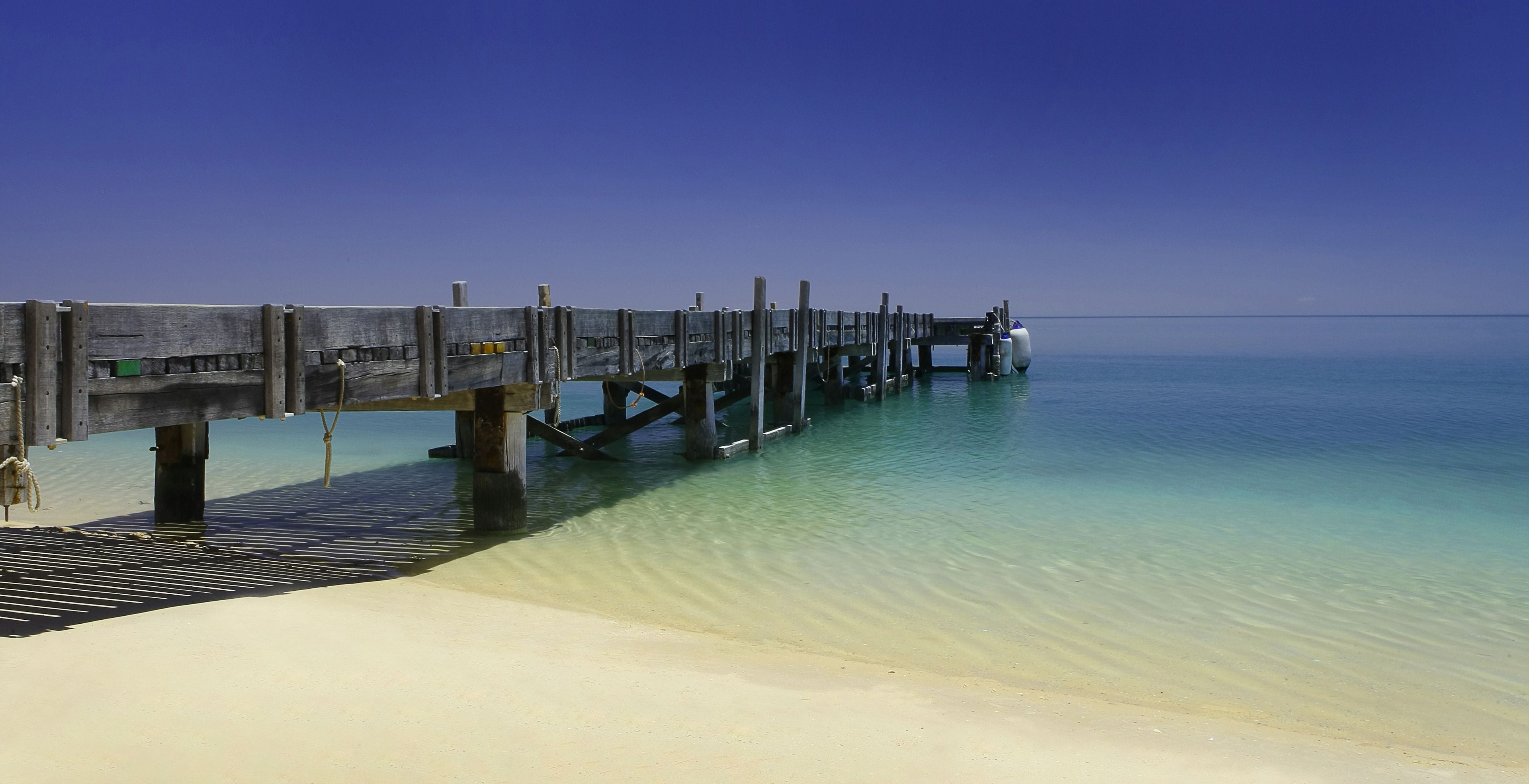 RAC Monkey Mia Dolphin Resort