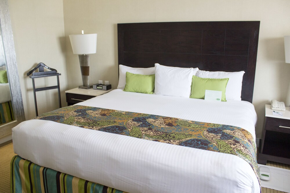 Hotel Lucerna Hermosillo  2019 Room Prices  78  Deals Reviews Expedia