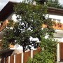 Camere Maia Alta in Merano, Italy