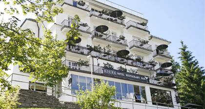 Hotel DAS REGINA