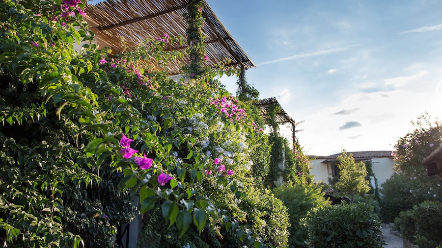 La Jacia Hotel & Resort