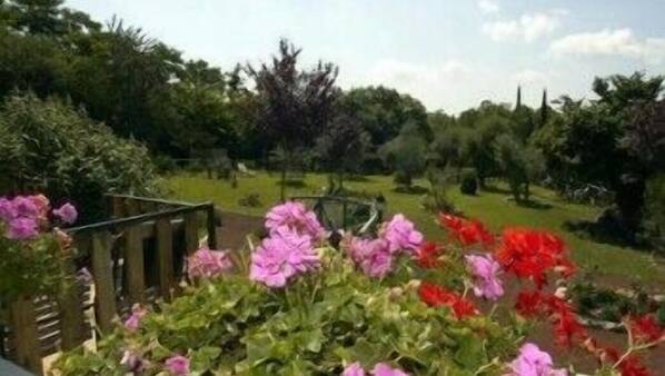 Parco della struttura