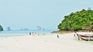 在海灘附近、白沙