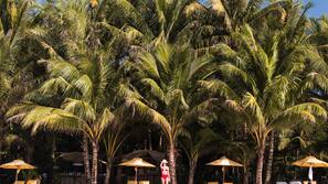 Am Strand, Shuttle zum Strand, Sporttauchen, Schnorcheln