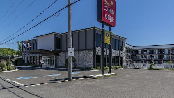 Area Rugs In Cairo J And J Carpets Llc