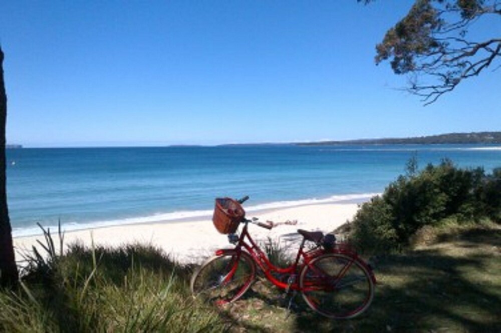 Dolphin Sands