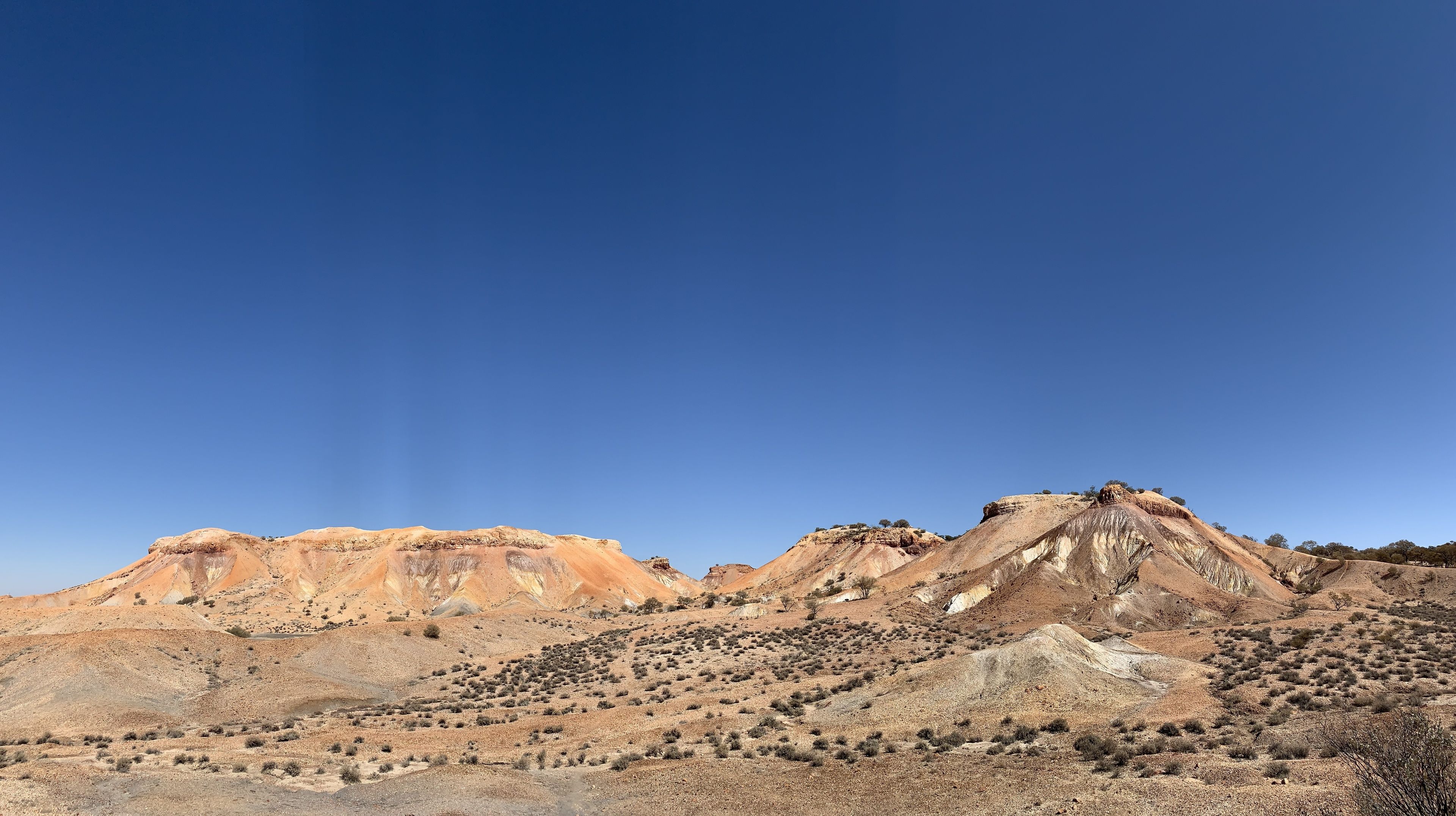 Opal Inn Hotel Motel