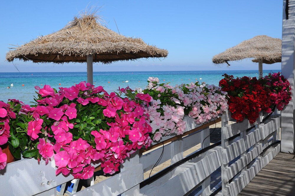 Delfino Beach Hotel Marsala Italia Expediait