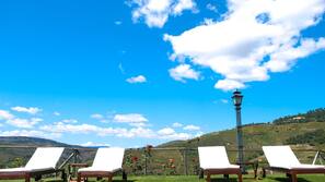Outdoor pool, pool umbrellas, pool loungers