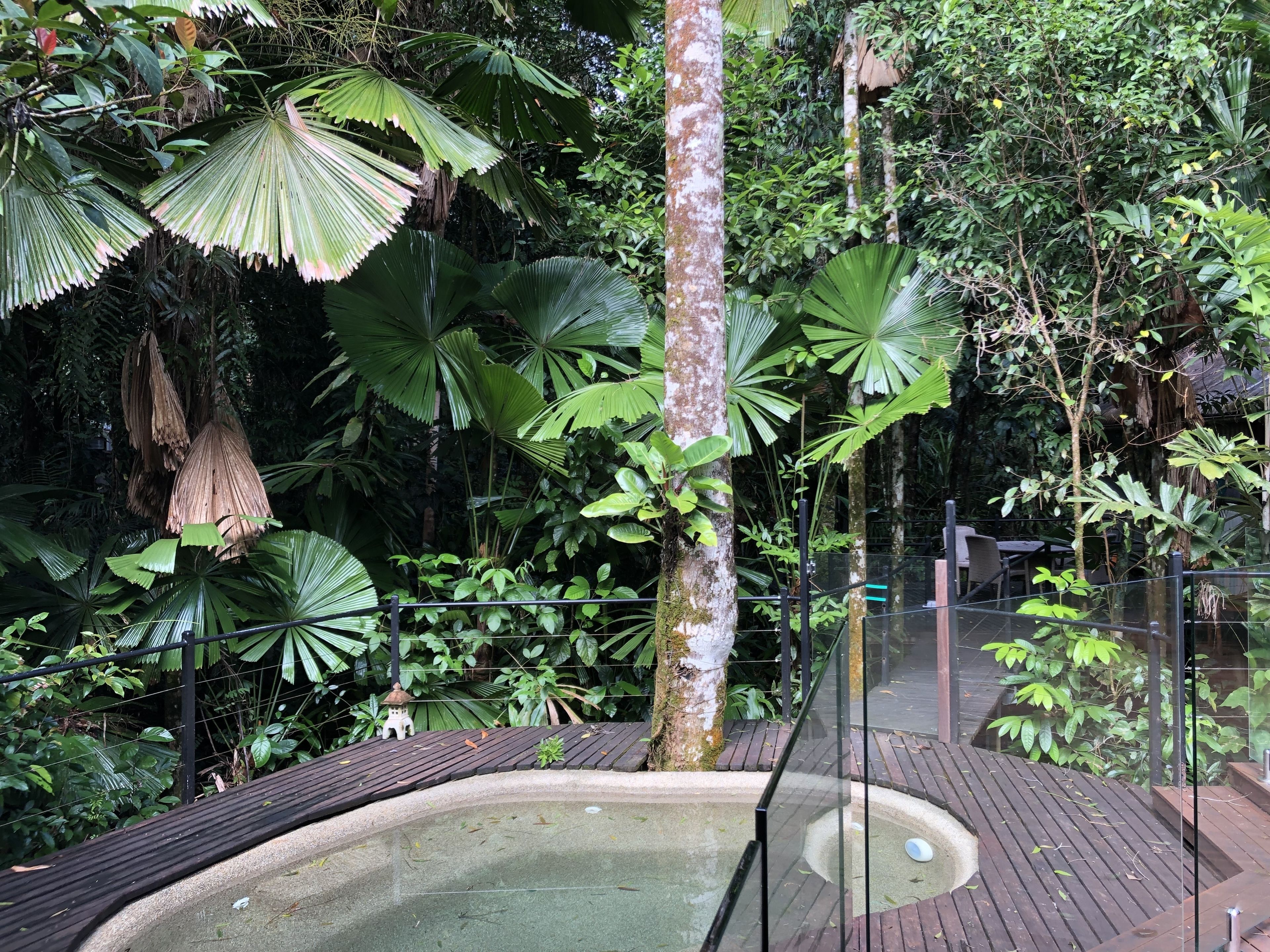 Daintree Wilderness Lodge