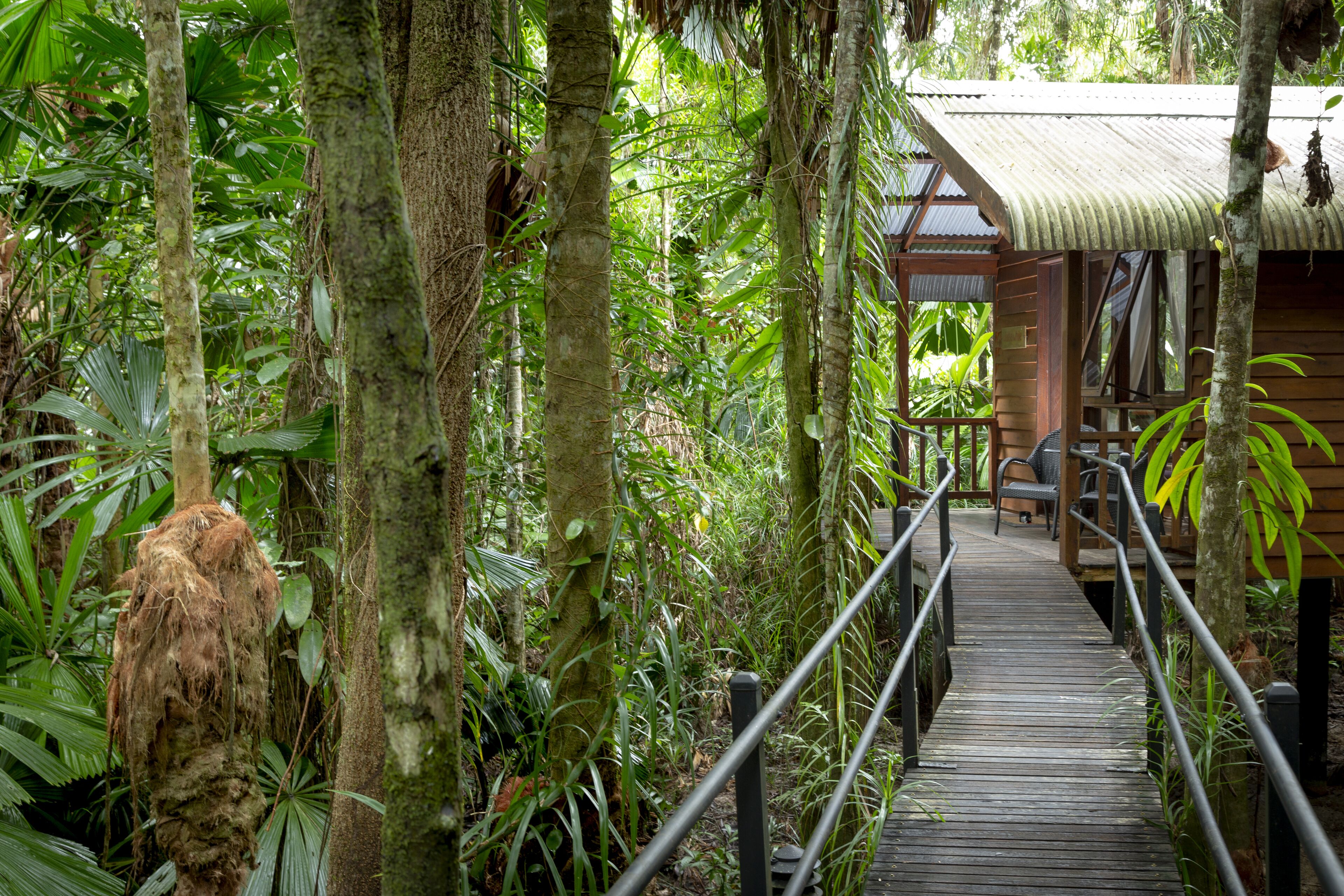 Daintree Wilderness Lodge
