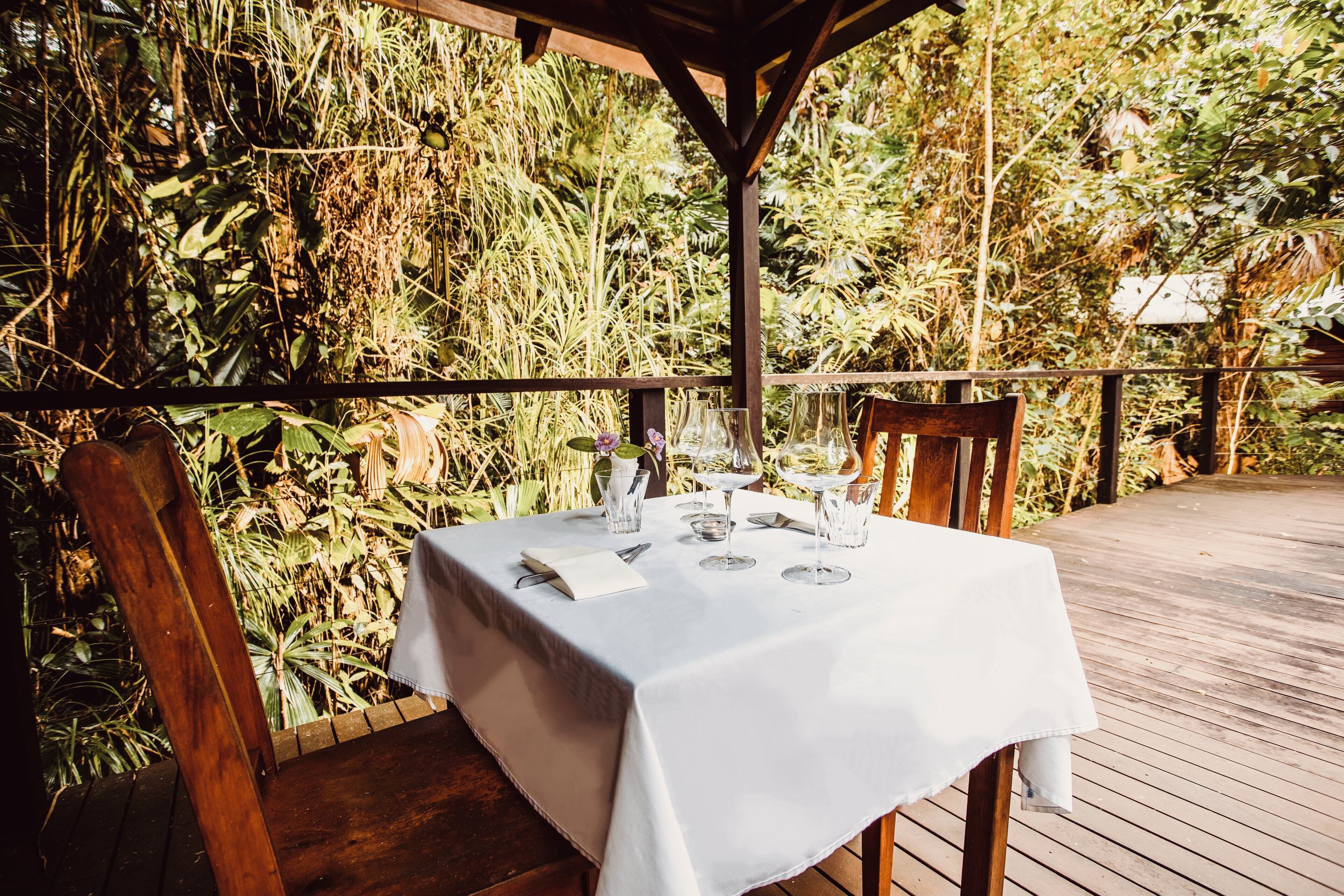 Daintree Wilderness Lodge