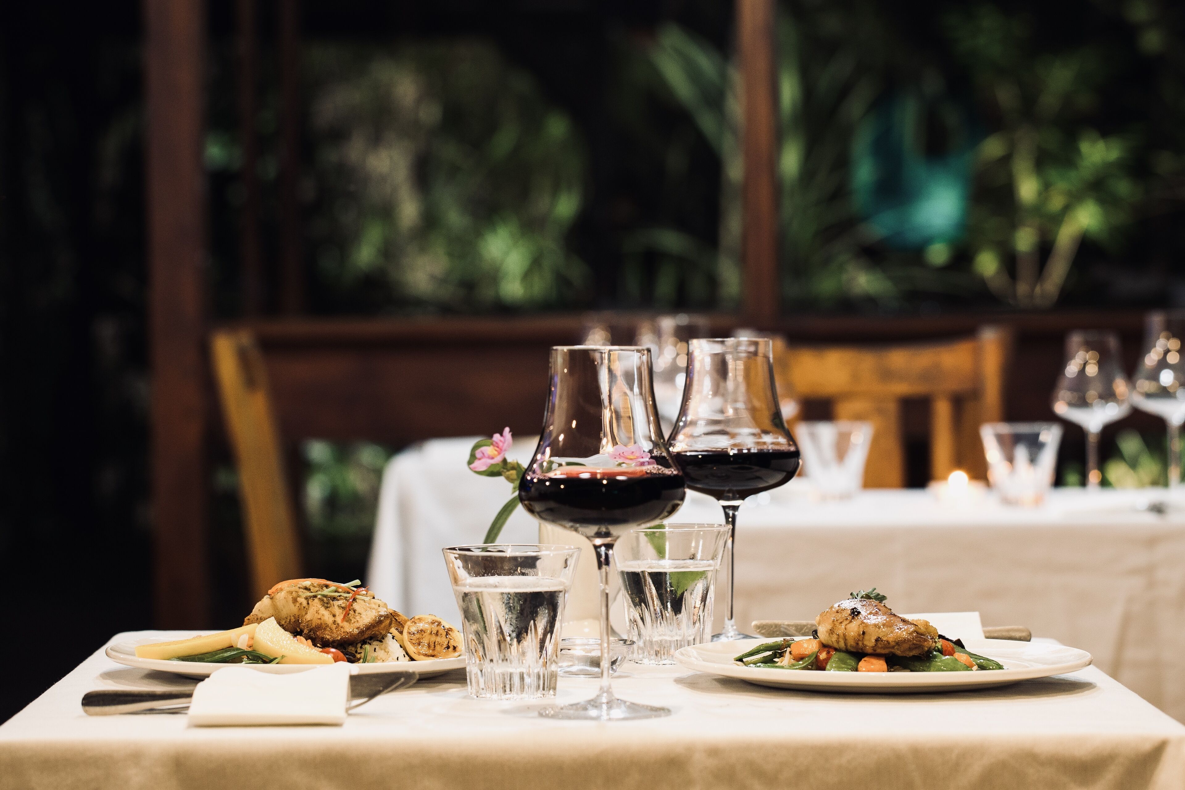 Daintree Wilderness Lodge