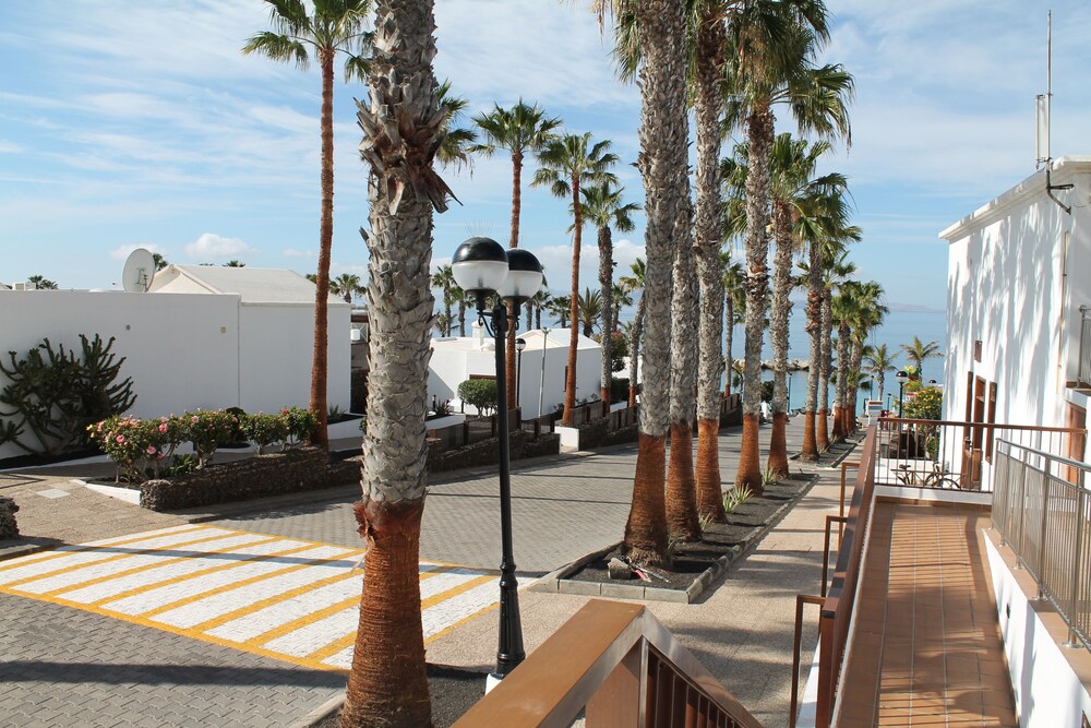 flamingo beach hotels flamingo beach hotels