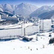 湯沢の格安子連れにおすすめホテル予約 ファミリー向け エクスペディア 湯沢の格安子連れにおすすめホテル予約 ファミリー向け エクスペディア