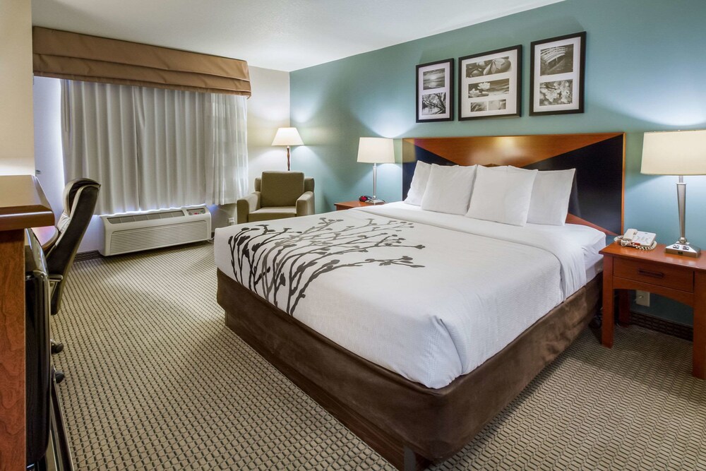 Sleep Inn And Suites Rapid City