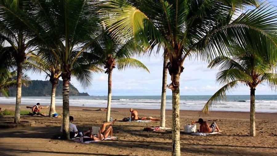 Blue Palm Hotel