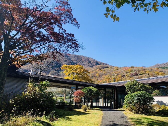 箱根湯の花プリンスホテル 口コミ 部屋写真 料金 お得情報 エクスペディア