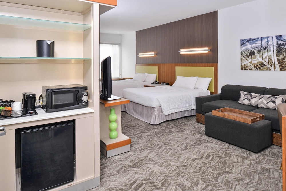 SpringHill Suites by Marriott Ashburn Dulles North