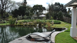 Outdoor pool, pool umbrellas, sun loungers
