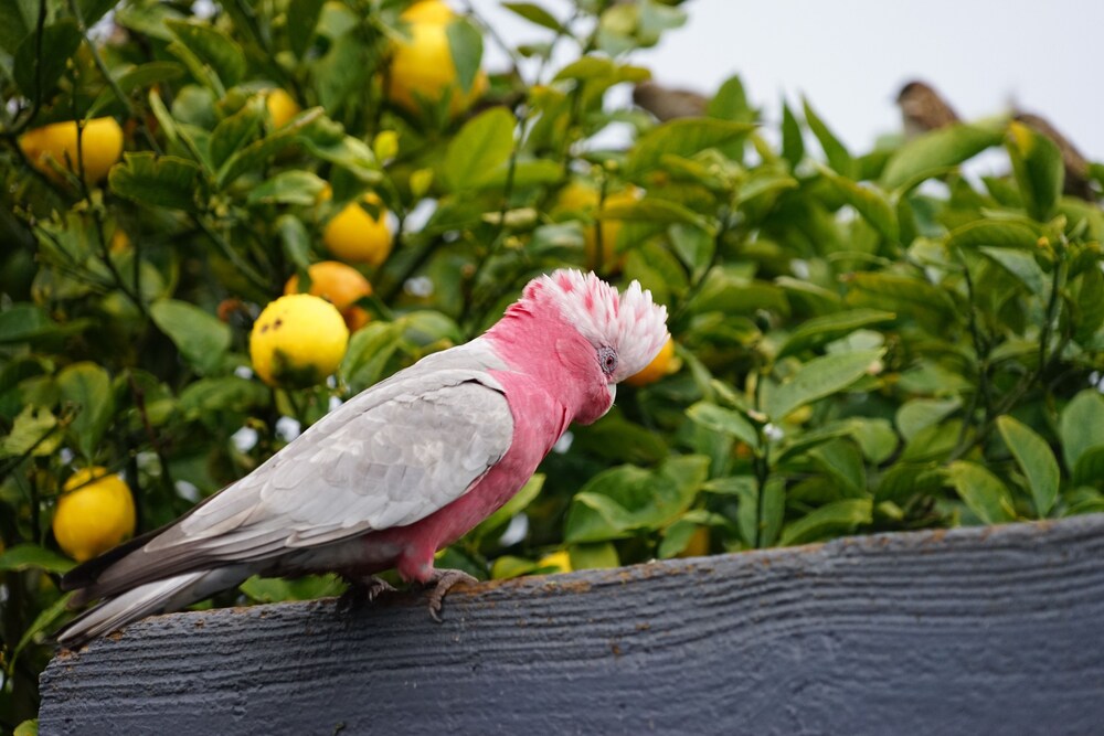 Motel Marengo in Marengo Best Rates & Deals on Orbitz