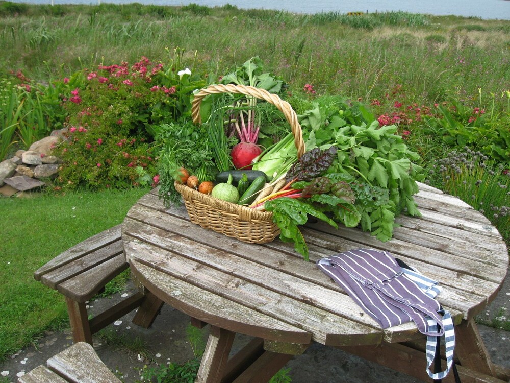 Gorman's Clifftop House Rooms, Reviews & Deals (Ballydavid, IRL) Wotif