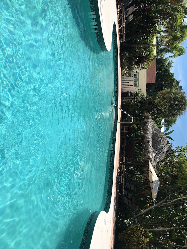 Sunrise Garden Resort In Sarasota Hotel Rates Reviews On Orbitz