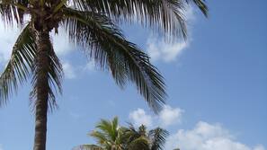 Beach nearby, beach towels