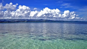 Ubicación cercana a la playa, submarinismo y buceo con tubo