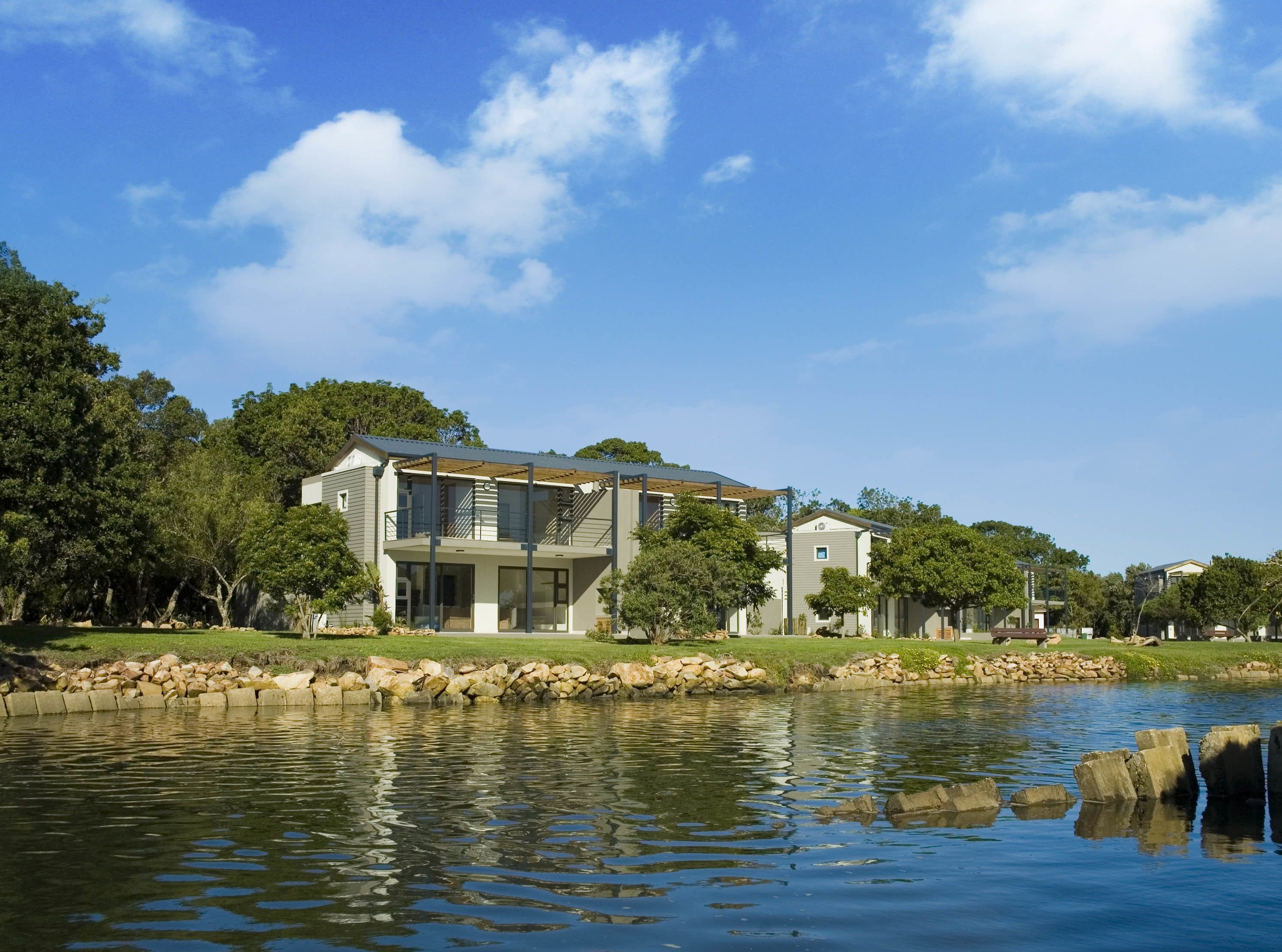 Forest Edge in Knysna, South Africa