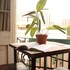 Hostal Fiorenttina