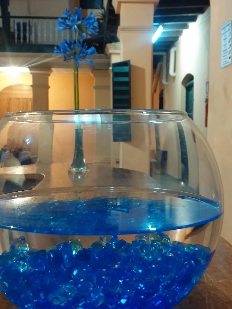 Photo - Hostal Buenos Aires