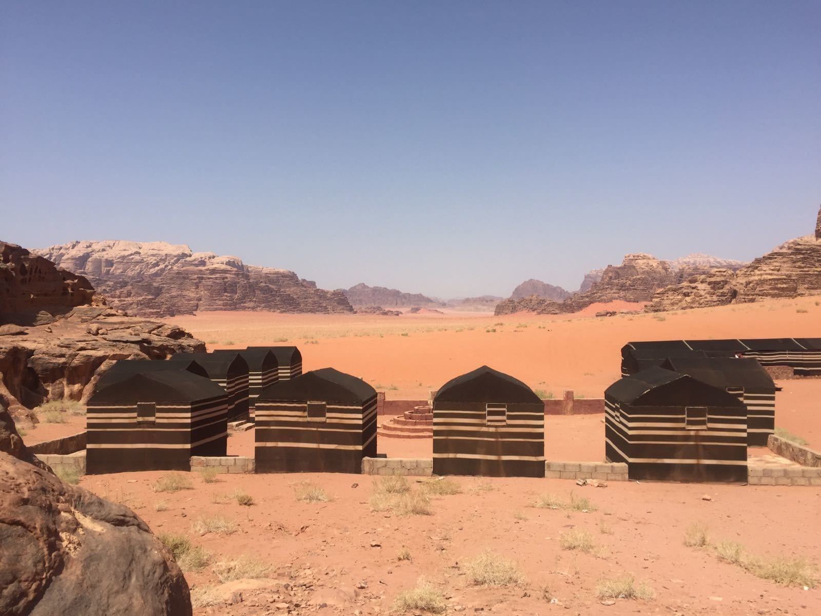 Wild Wadi Rum In Wadi Rum Jordan Expedia