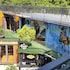 C Hostel