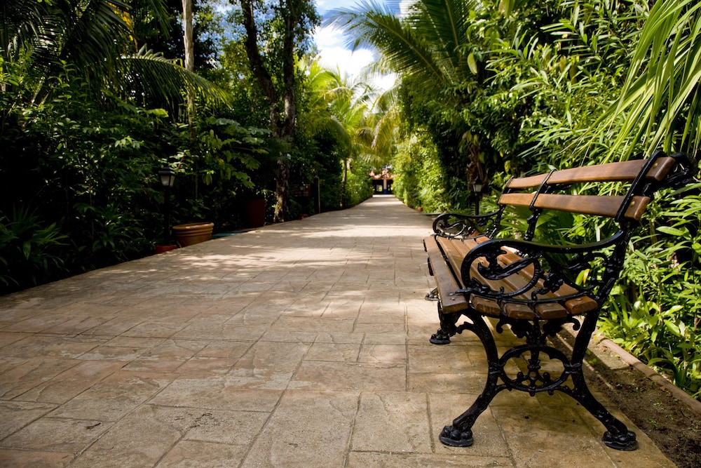 Foto - Catalonia Playa Maroma - All Inclusive