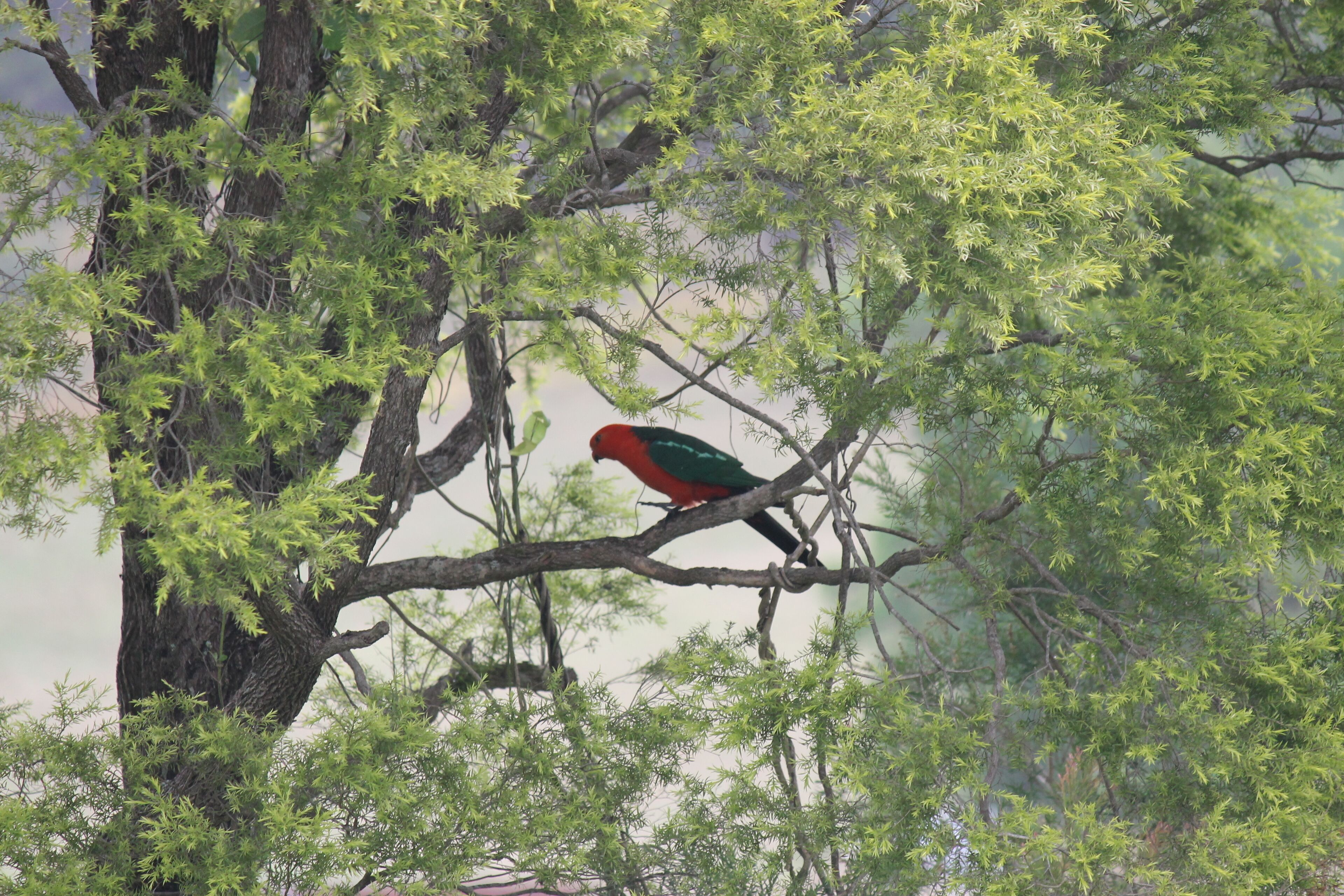 The Dollhouse Cottage - Tranquil Country Retreat