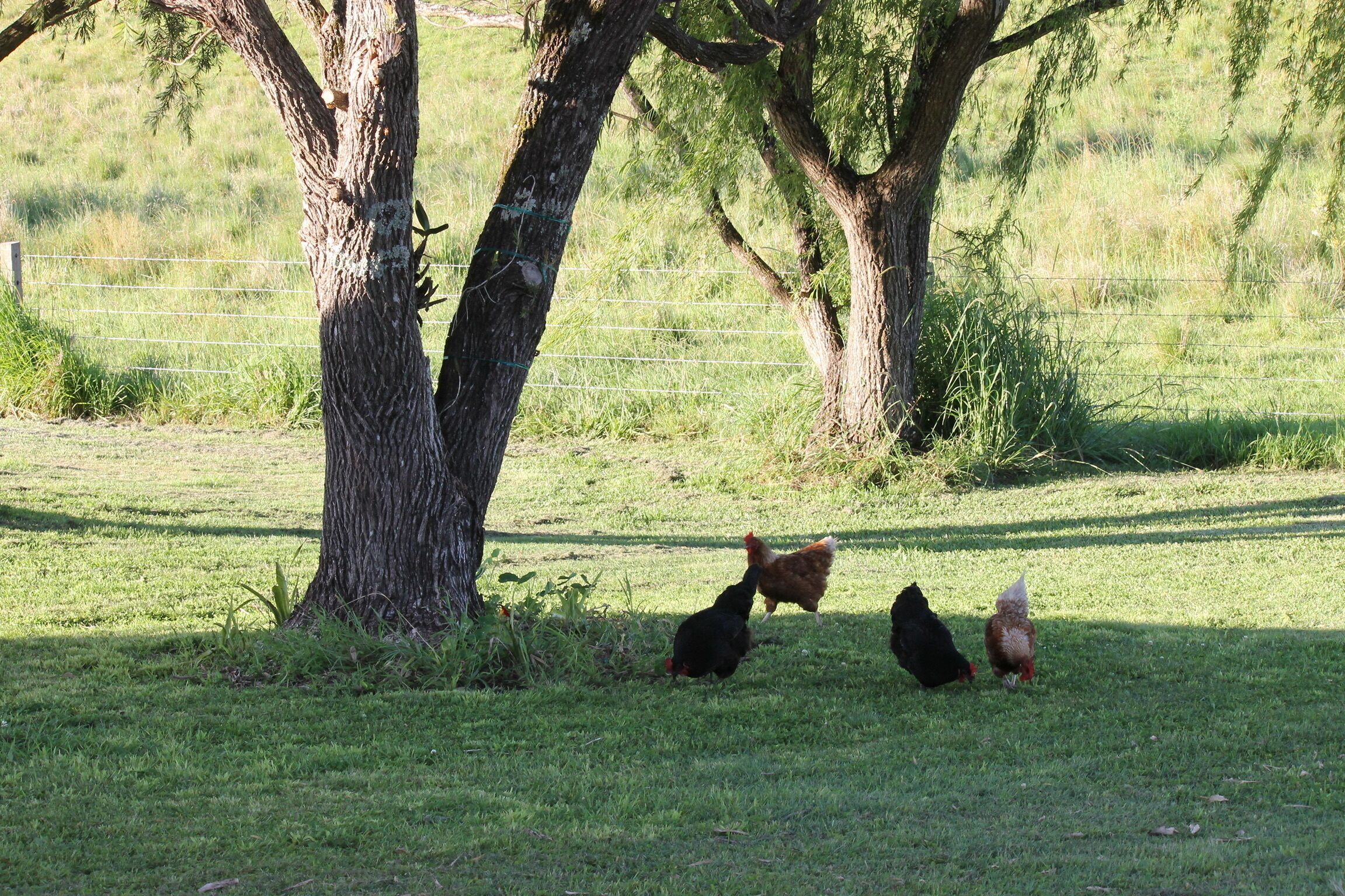 The Dollhouse Cottage - Tranquil Country Retreat