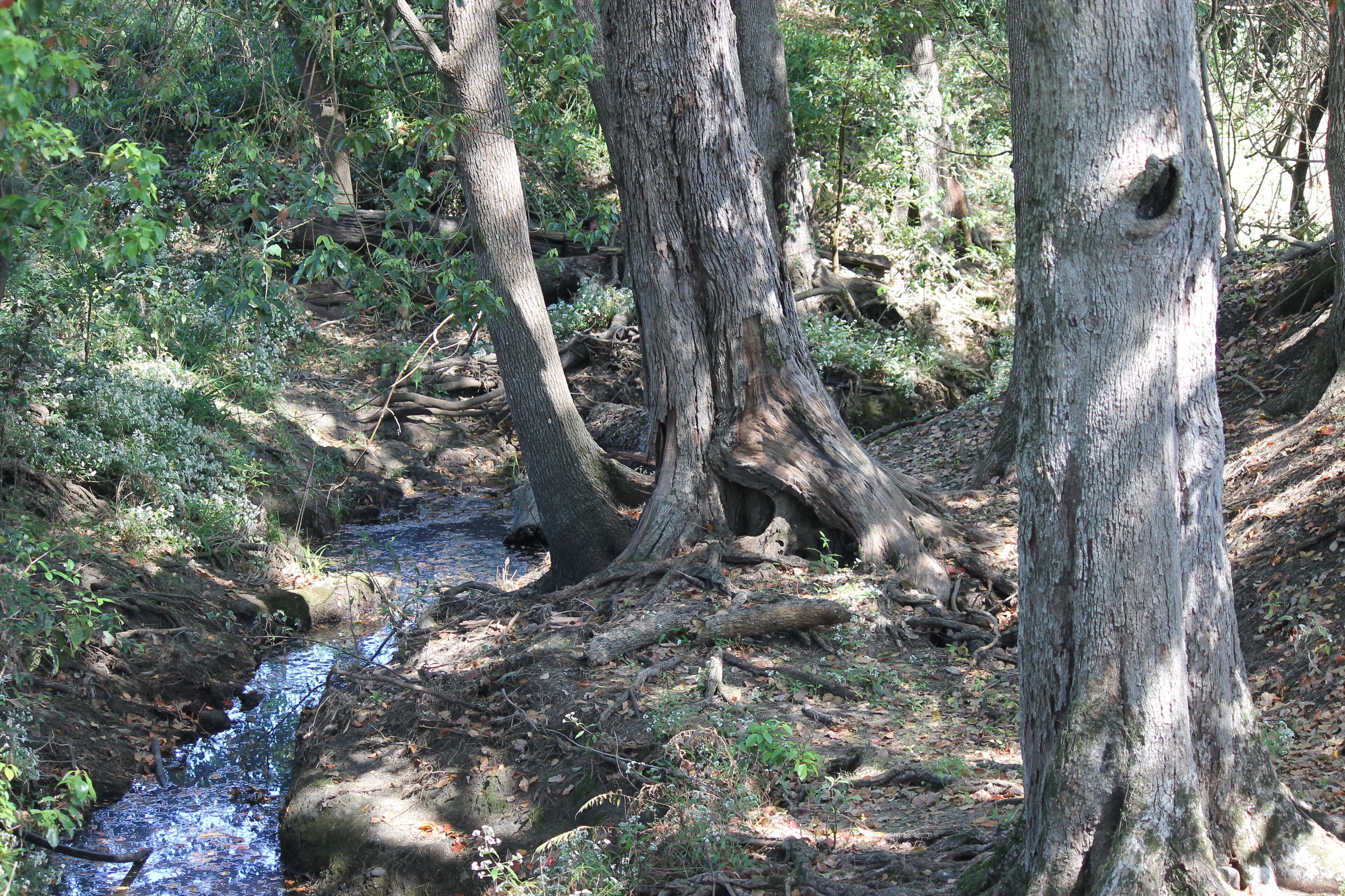 The Dollhouse Cottage - Tranquil Country Retreat