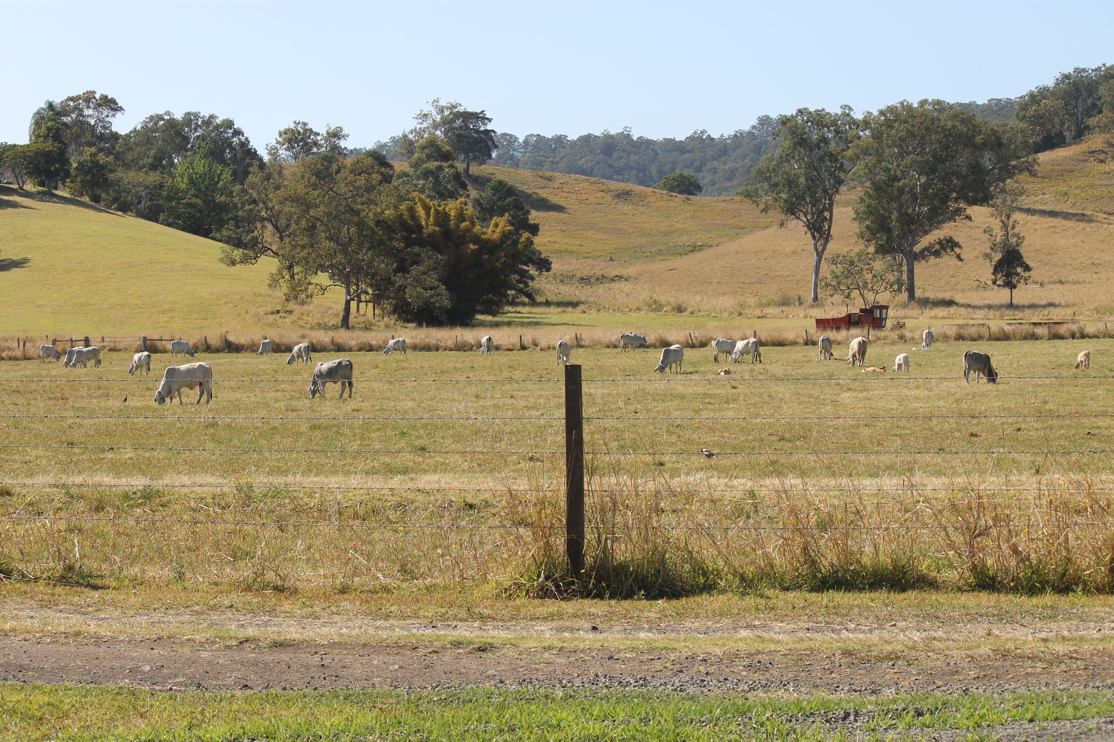The Dollhouse Cottage - Tranquil Country Retreat