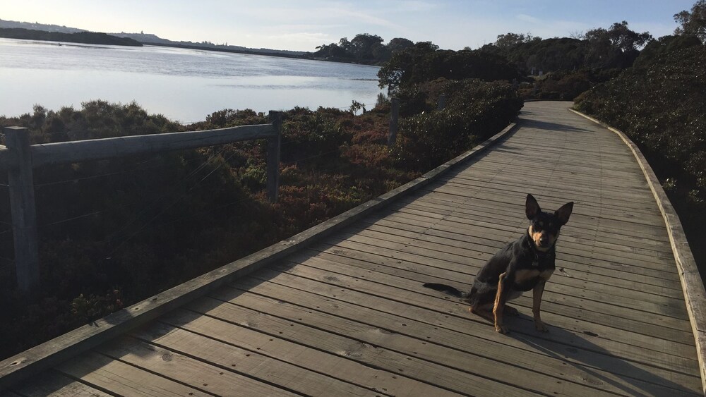 Classic Beach House Barwon Heads