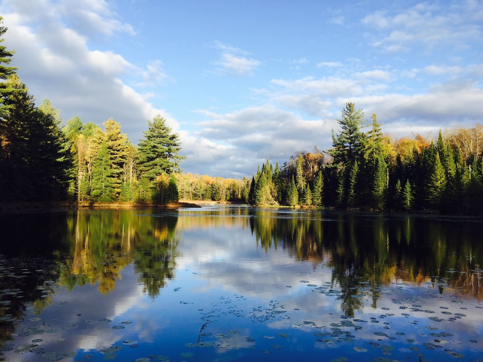 Adirondack Cottage - Four Season Pet-friendly Cozy Beautiful Read Reviews In Lowville Ny Expedia