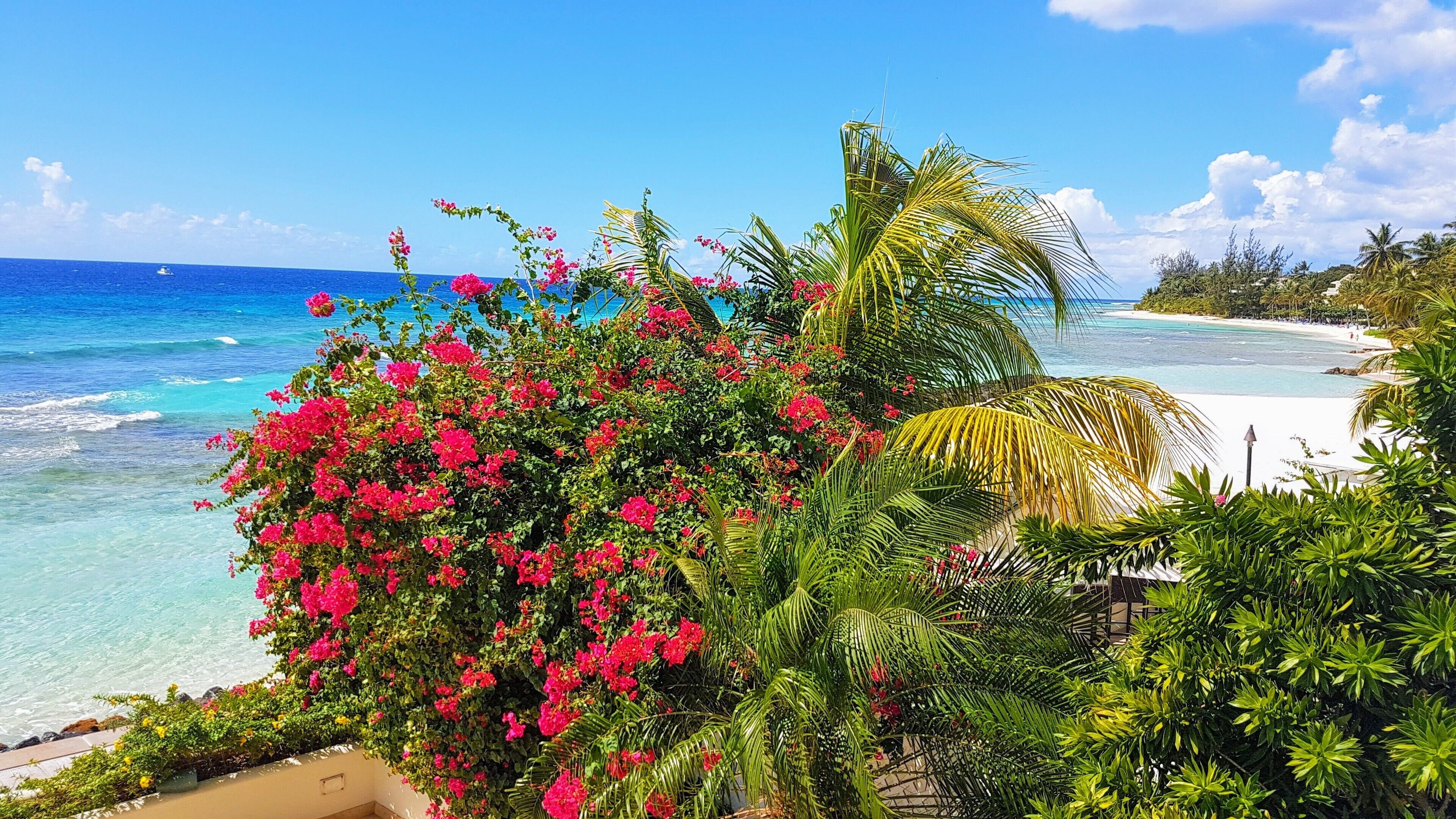 South Ocean Villas 203 with breathtaking views in Hastings in Hastings, Barbados