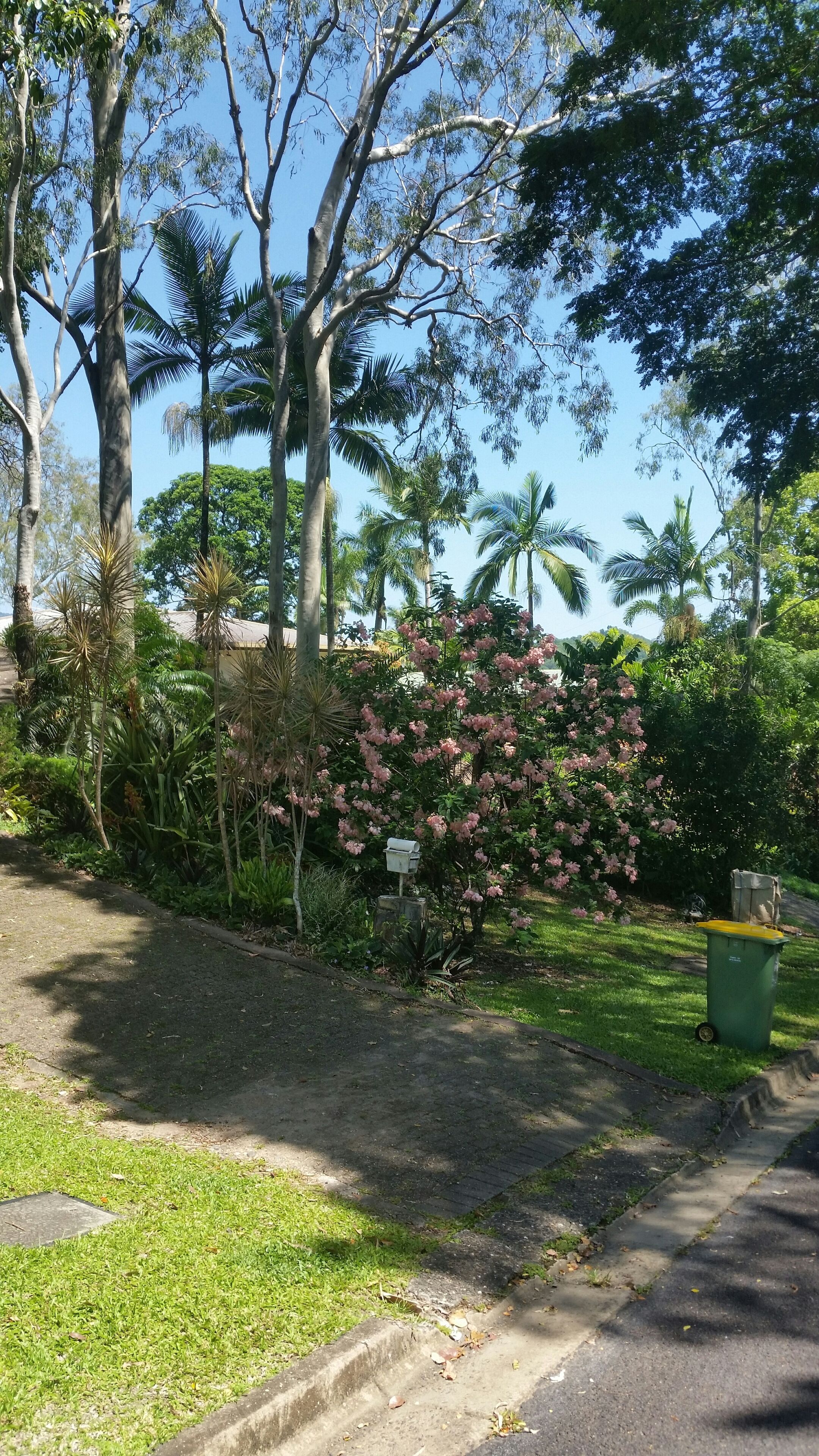 Majestic Elegant Large Family Home